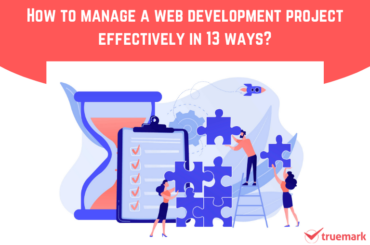 how to manage a web development project
